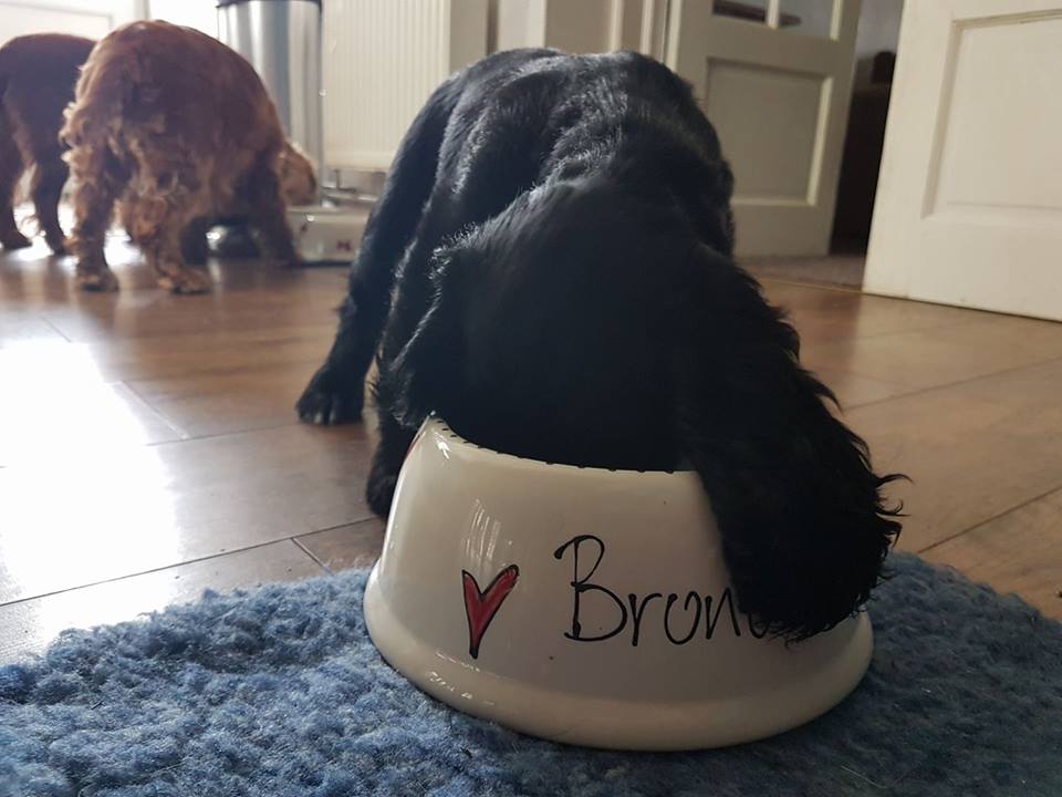 Personalised Slanted Whimsical bowl