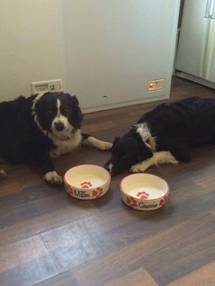 Personalised Straight sided Paw Print design 2 bowl set