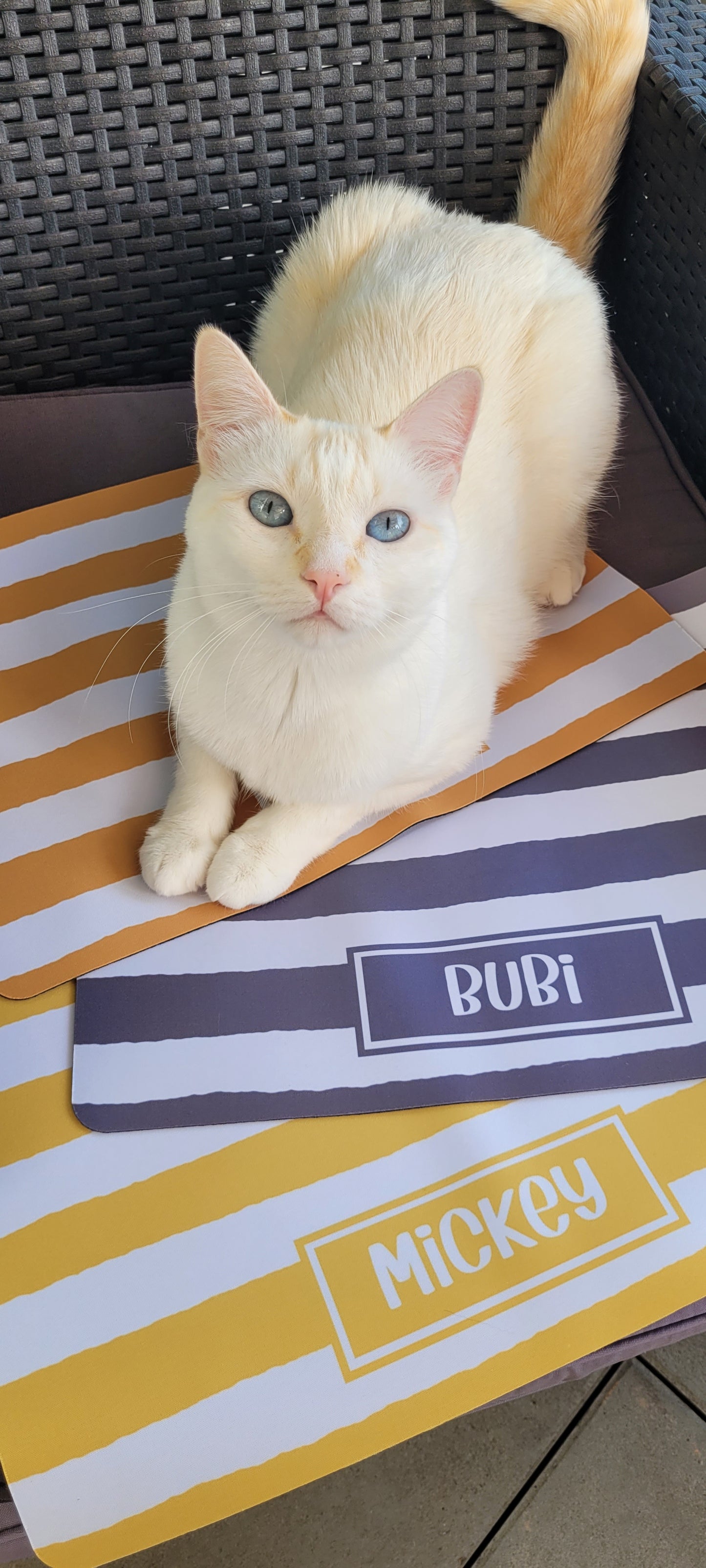 Personalised Pet Bowl Mat Stripey Design