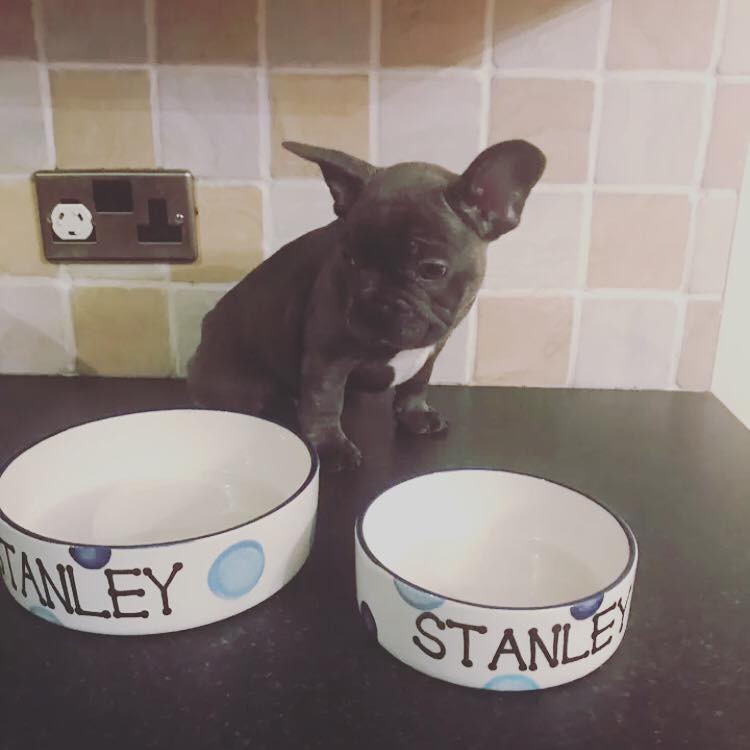 Personalised Straight sided Spotty design 2 bowl set