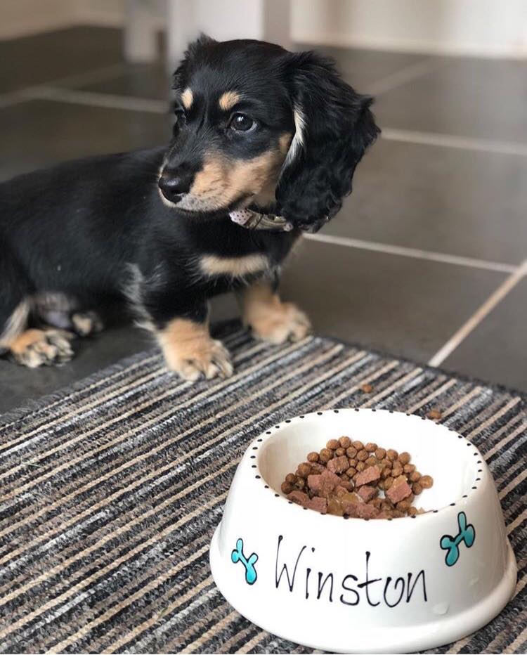 Personalised Slanted Whimsical bowl