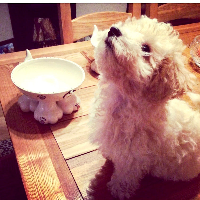 Personalised Dog Leg Bowl Whimsical Design