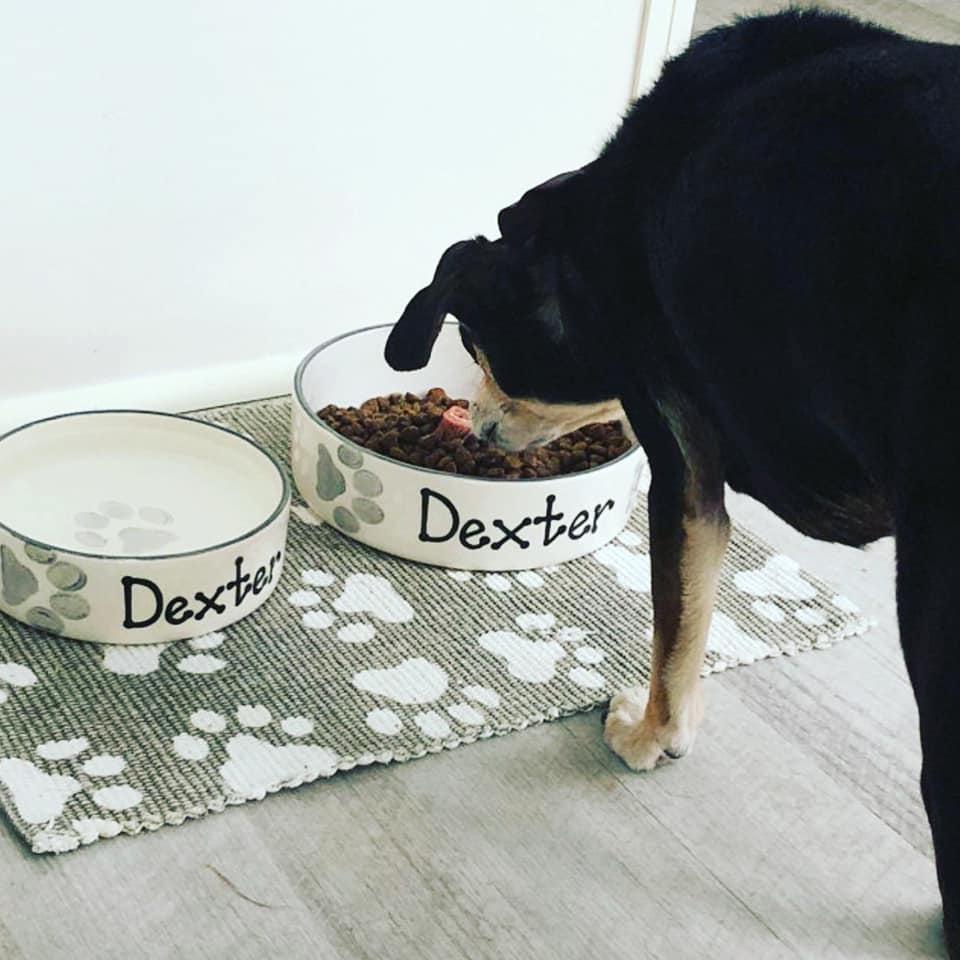 Personalised Straight sided Paw Print design 2 bowl set