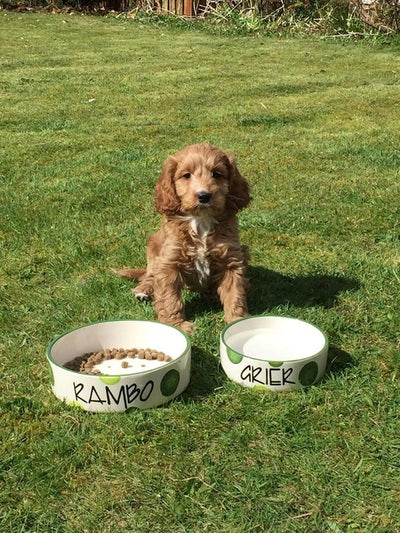 Personalised Straight sided Spotty design 2 bowl set