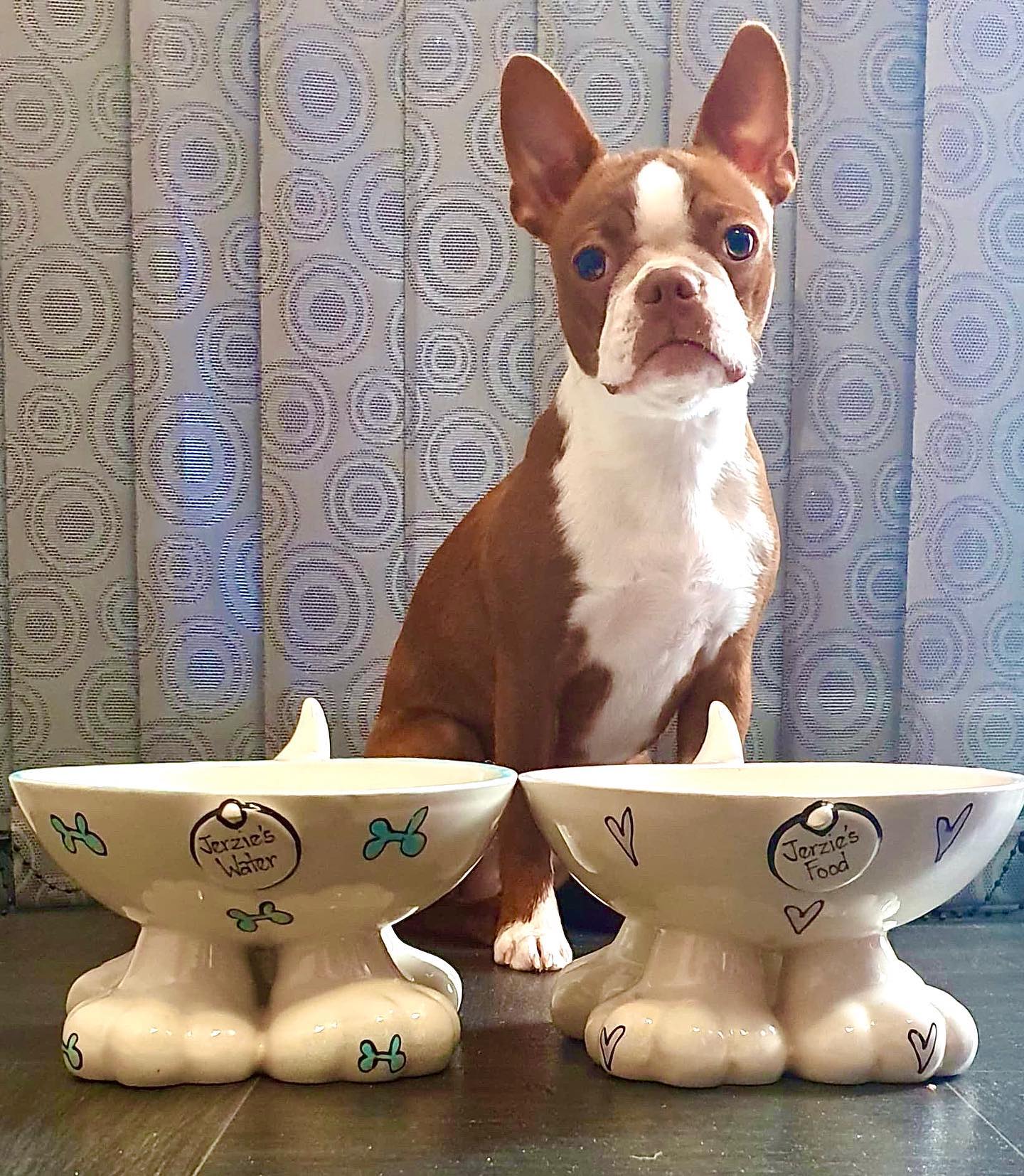 Personalised Dog Leg Bowl Whimsical Design