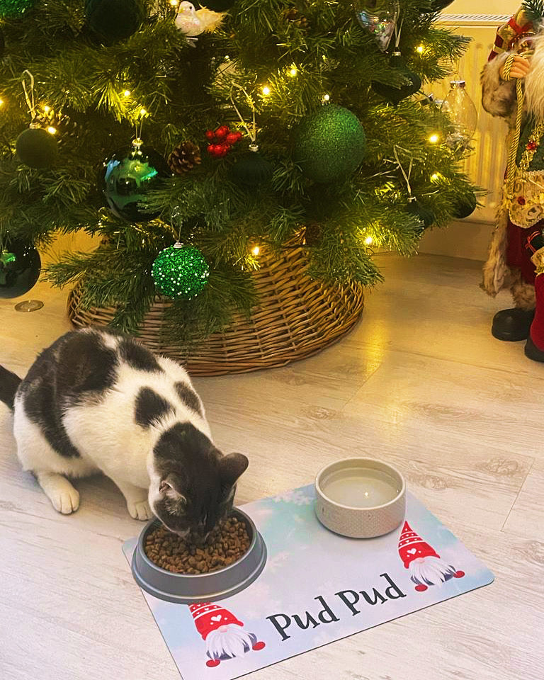 Personalised Pet Bowl Mat Christmas Gonk Design