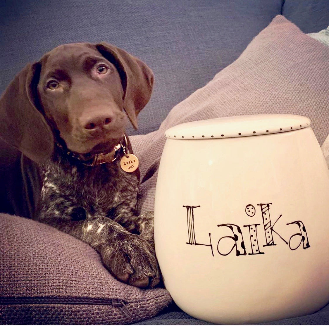 Personalised Treat Jar Doodle Font Design