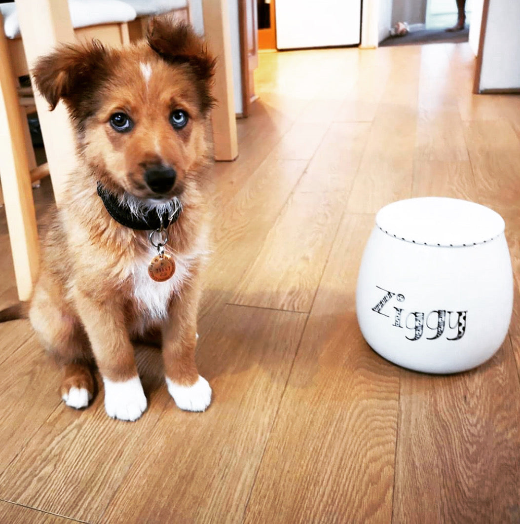 Personalised Treat Jar Doodle Font Design
