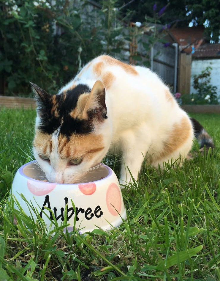 Personalised Slanted Spotty Bowl
