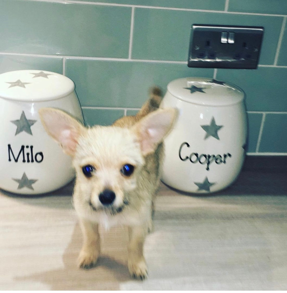 Personalised Treat Jar Star Print Design