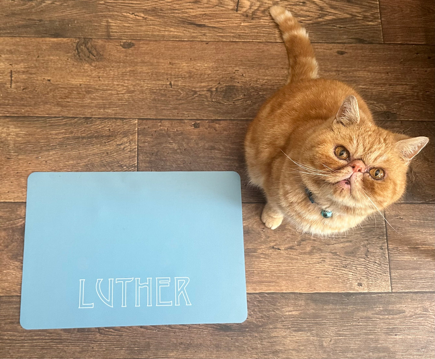 Personalised Pet Bowl Mat Flat Colour Design
