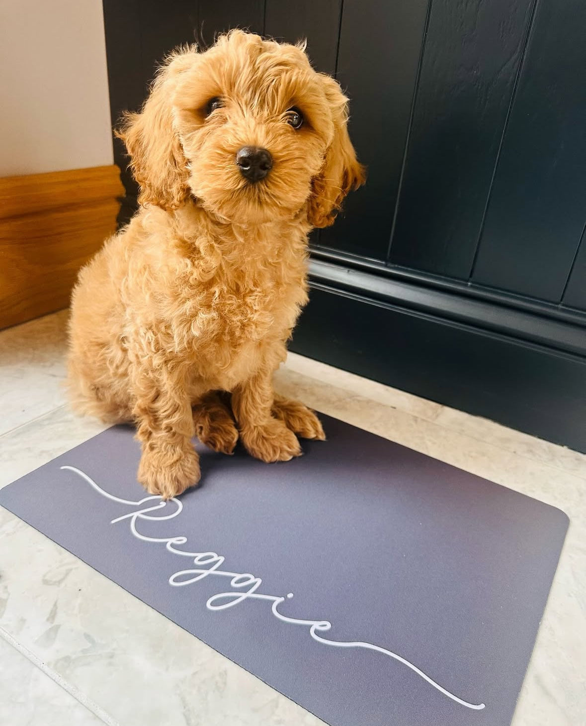 Personalised Pet Bowl Mat Flat Colour Design