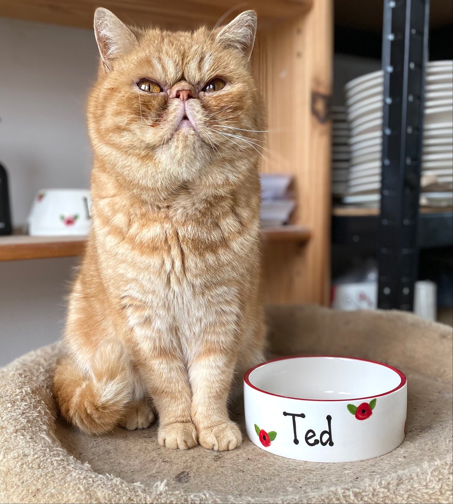 Personalised Straight Sided Poppy bowl