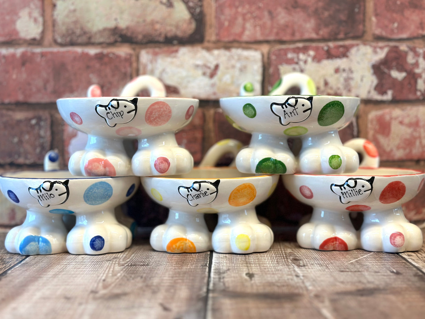 Personalised Cat Leg Bowl Spotty Design