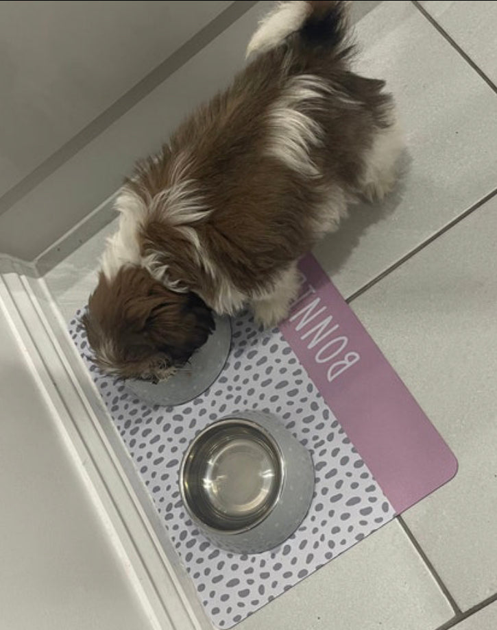 Personalised Pet Bowl Mat Spotty Stripe Design