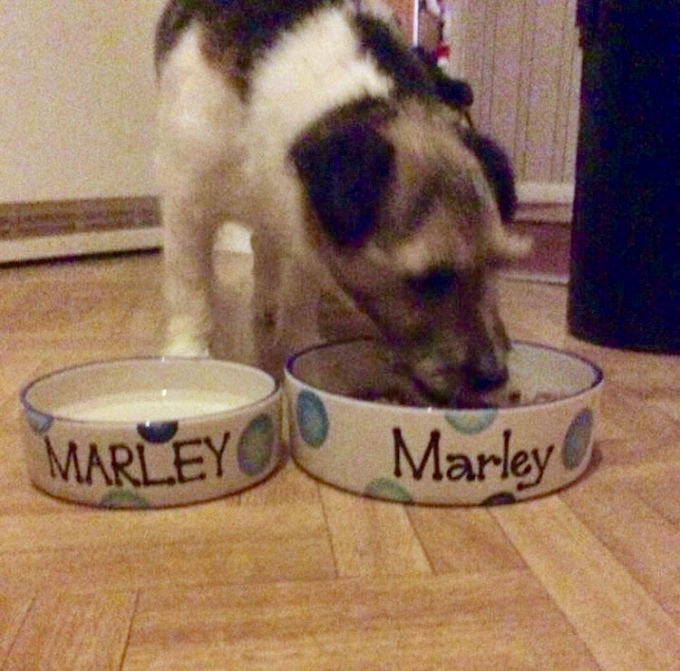 Personalised Straight sided Spotty design 2 bowl set