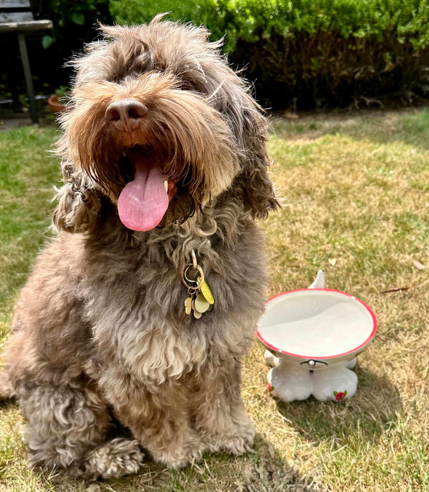Personalised Dog Leg Bowl Poppy Design