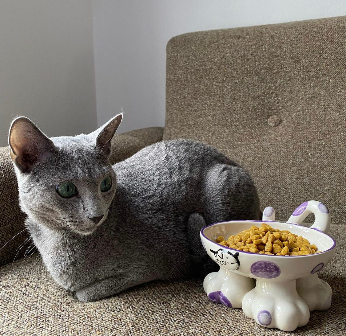 Personalised Cat Leg Bowl Spotty Design