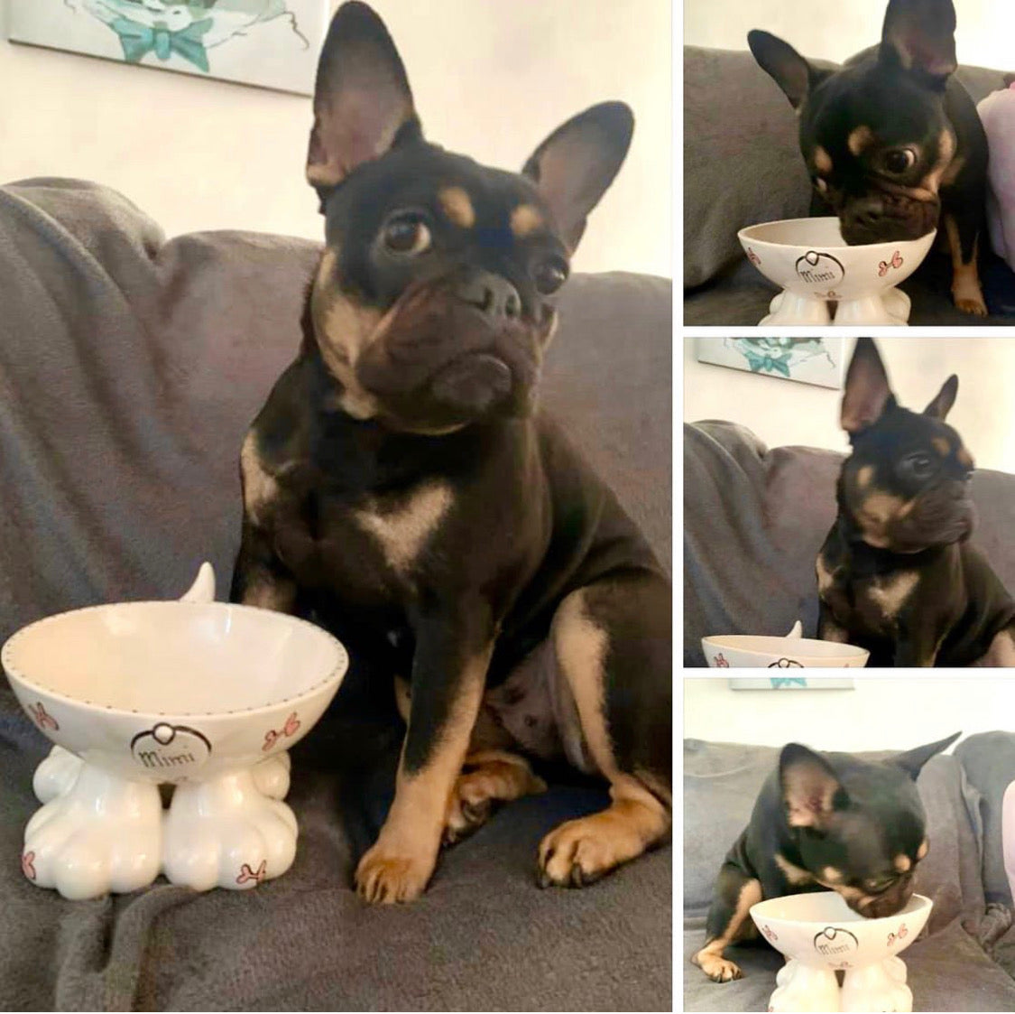 Personalised Dog Leg Bowl Whimsical Design