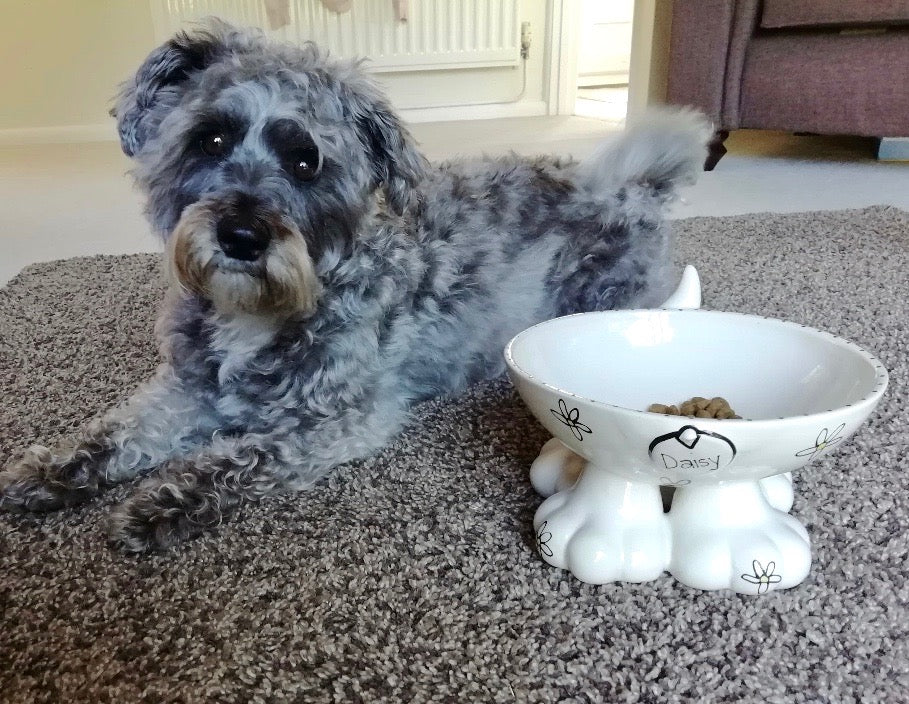 Personalised Dog Leg Bowl Whimsical Design