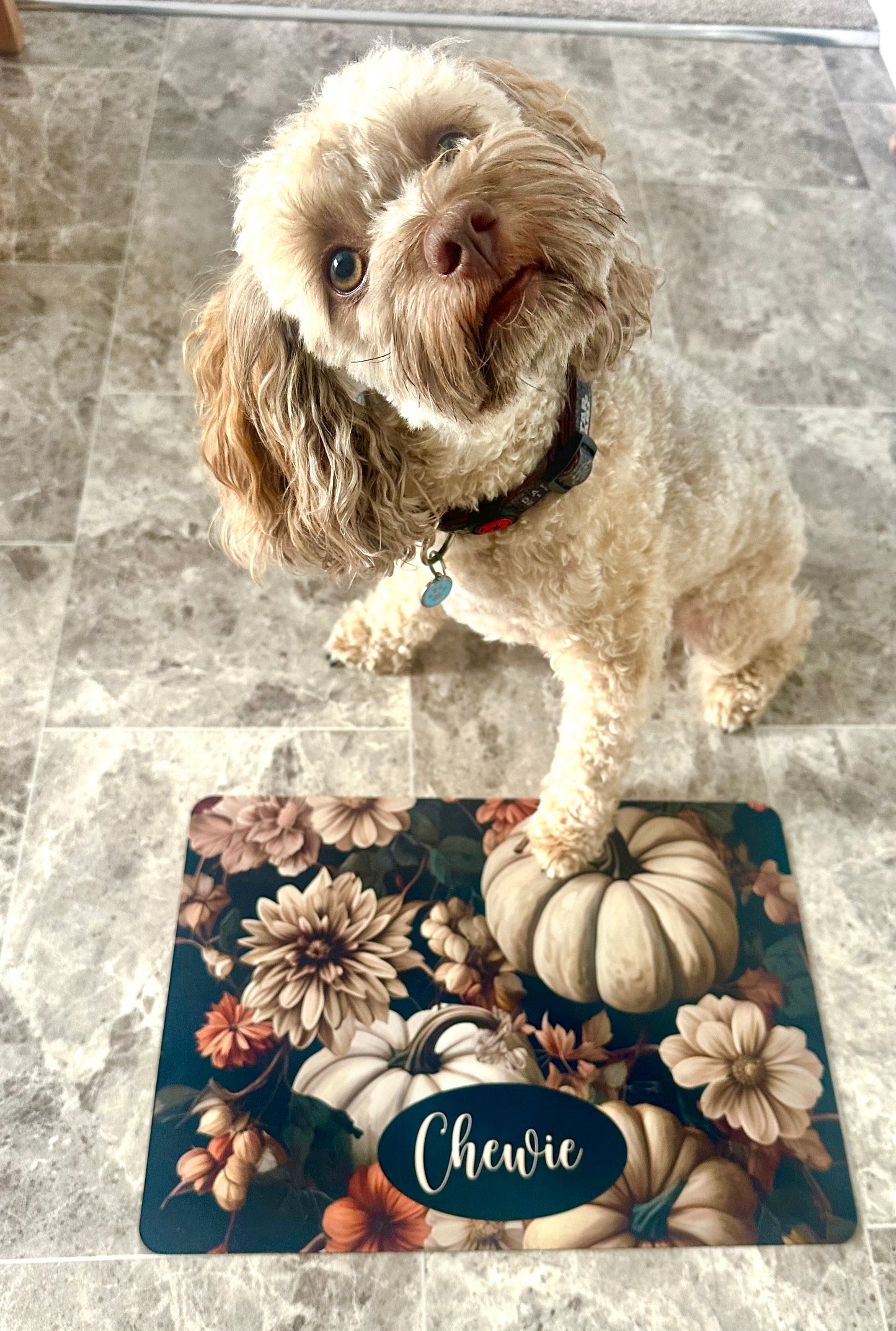 Personalised Pet Bowl Mat Halloween Design