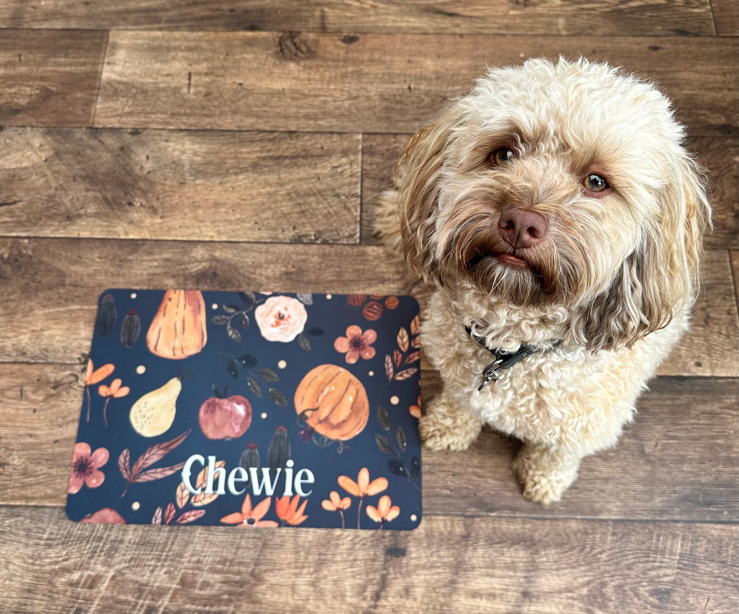 Personalised Pet Bowl Mat Halloween Design