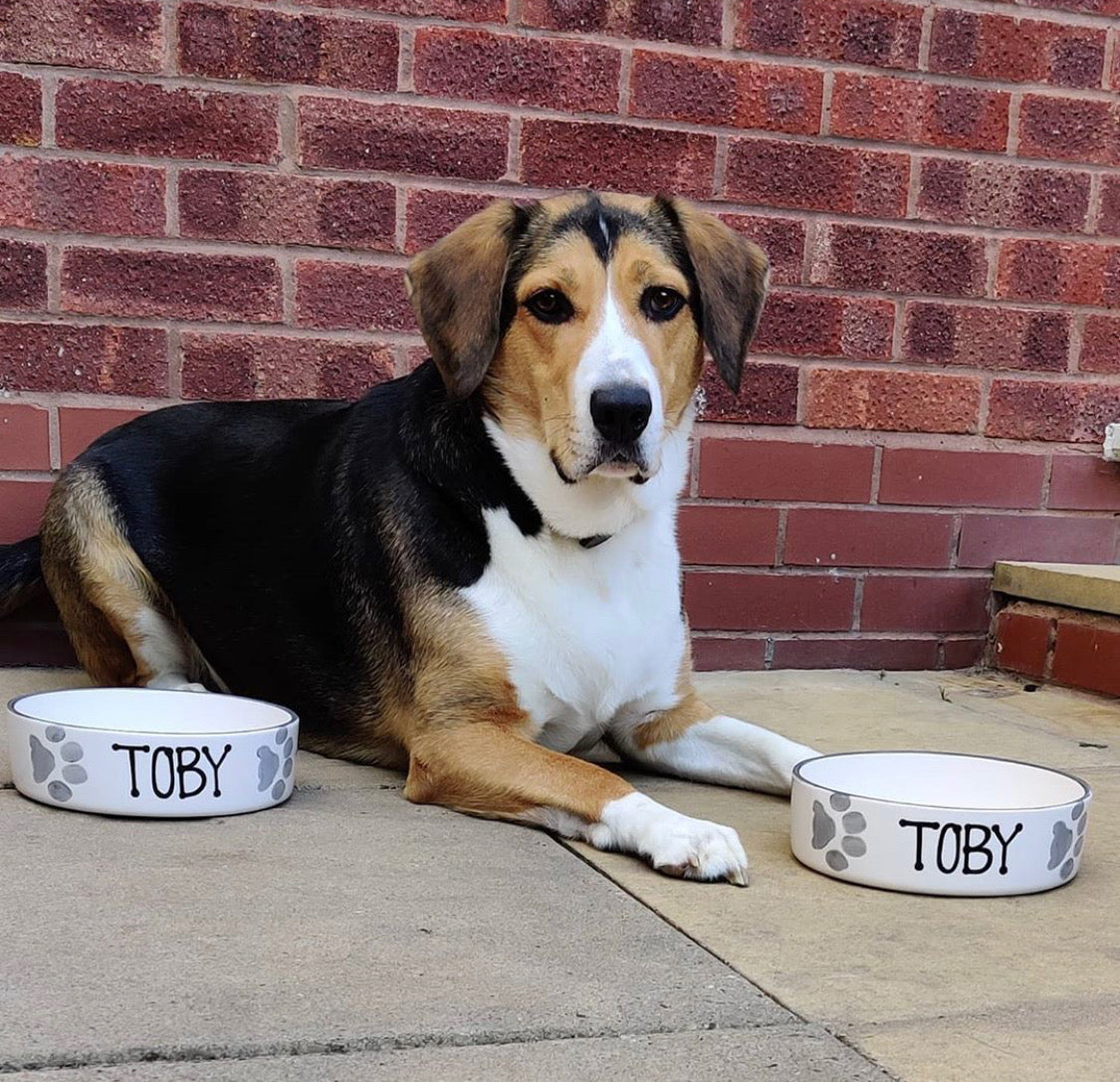 Personalised Straight sided Paw Print design 2 bowl set