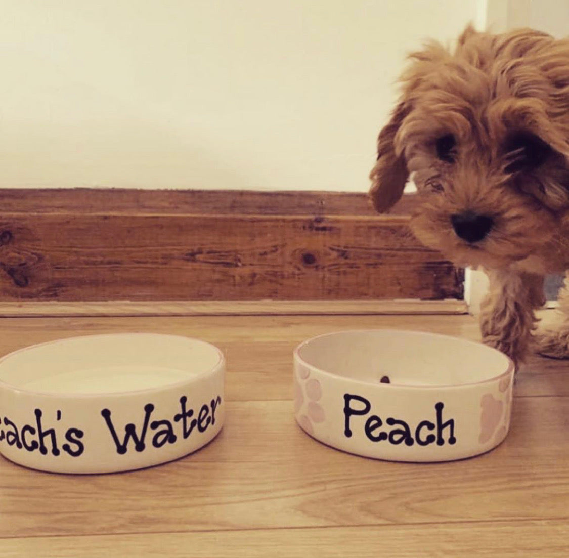 Personalised Straight sided Paw Print design 2 bowl set