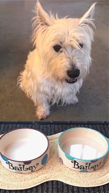 Personalised Straight sided Spotty design 2 bowl set