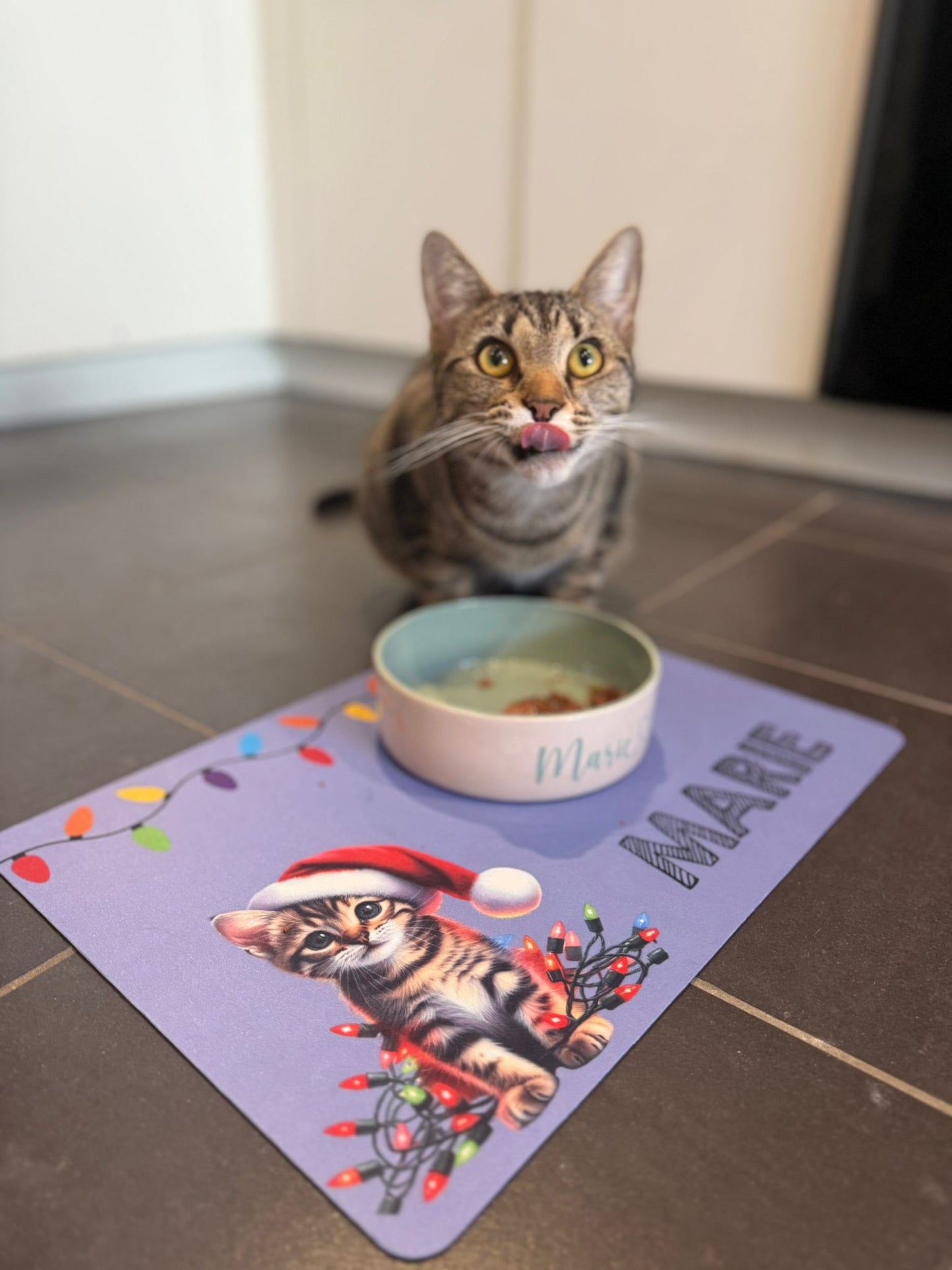 Personalised Christmas Bowl Mat Cat Breed Design