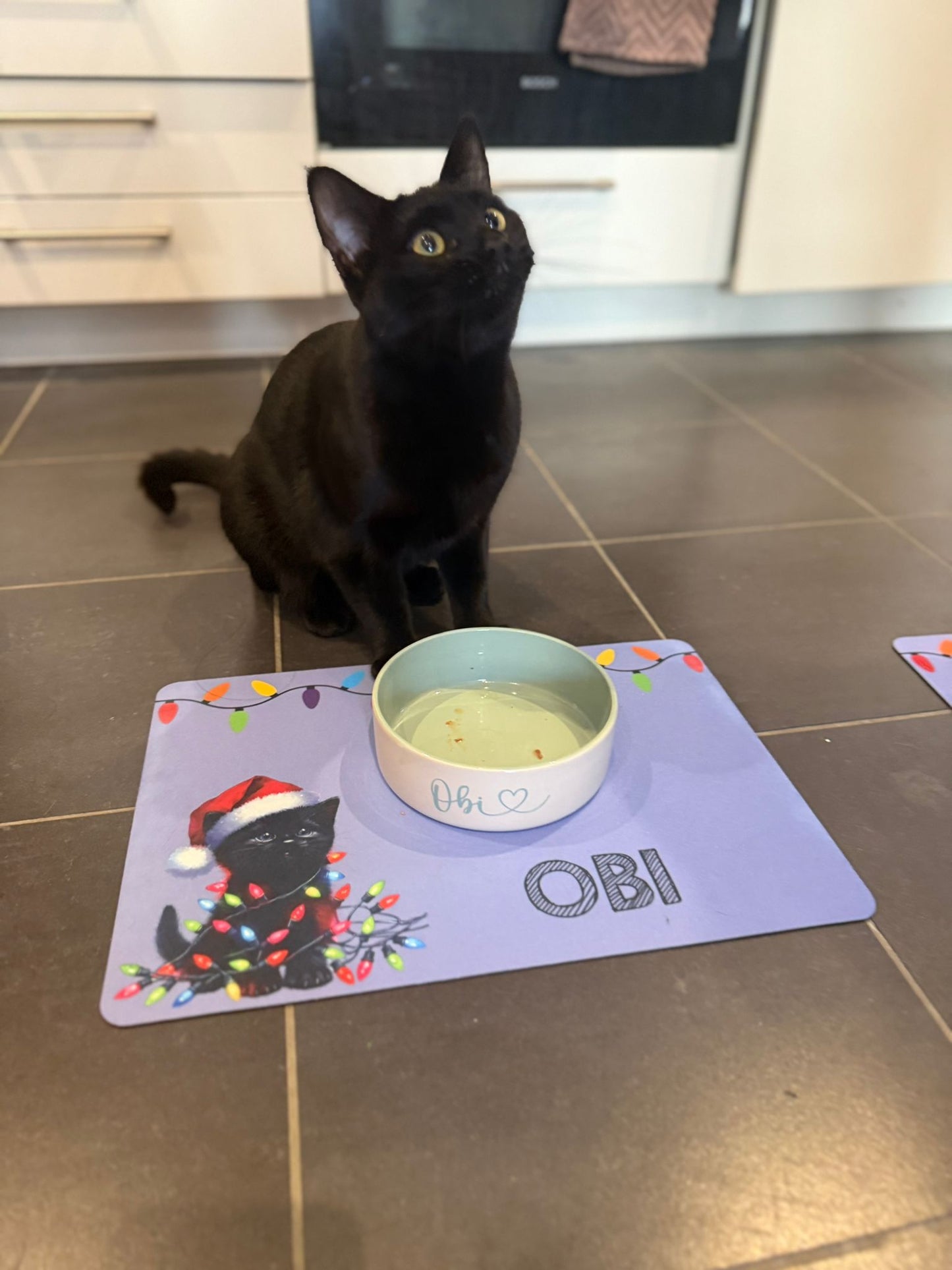 Personalised Christmas Bowl Mat Cat Breed Design