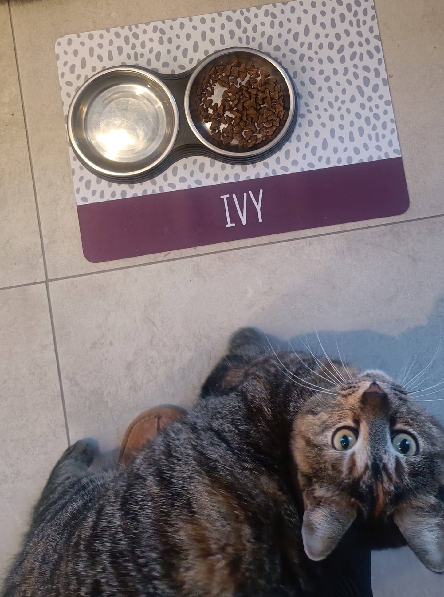 Personalised Pet Bowl Mat Spotty Stripe Design