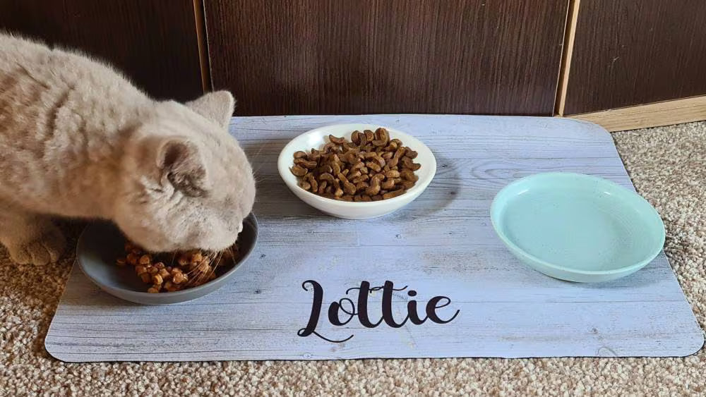 Personalised Pet Bowl Mat Wood Effect Design