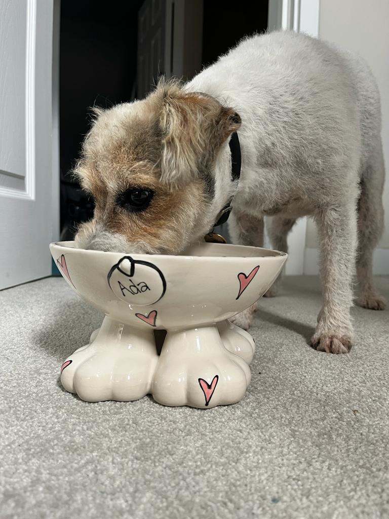 Personalised Dog Leg Bowl Whimsical Design