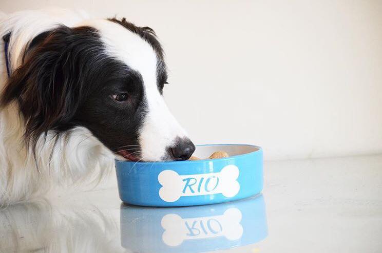 Hand Painted Personalised Ceramic Straight sided bowls