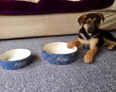 Hand Painted Personalised 2 bowl sets