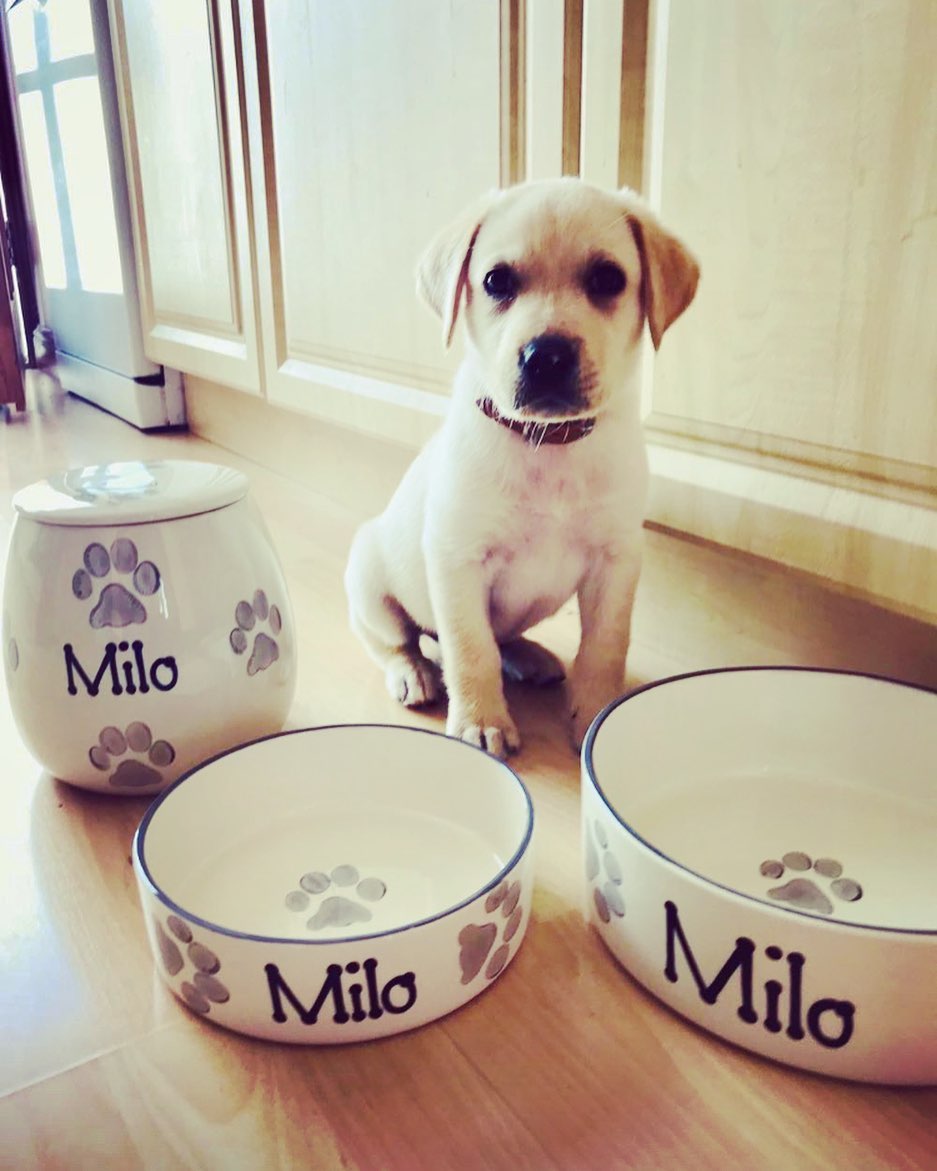 Hand Painted Personalised Straight Sided Bowls Treat Jar Sets