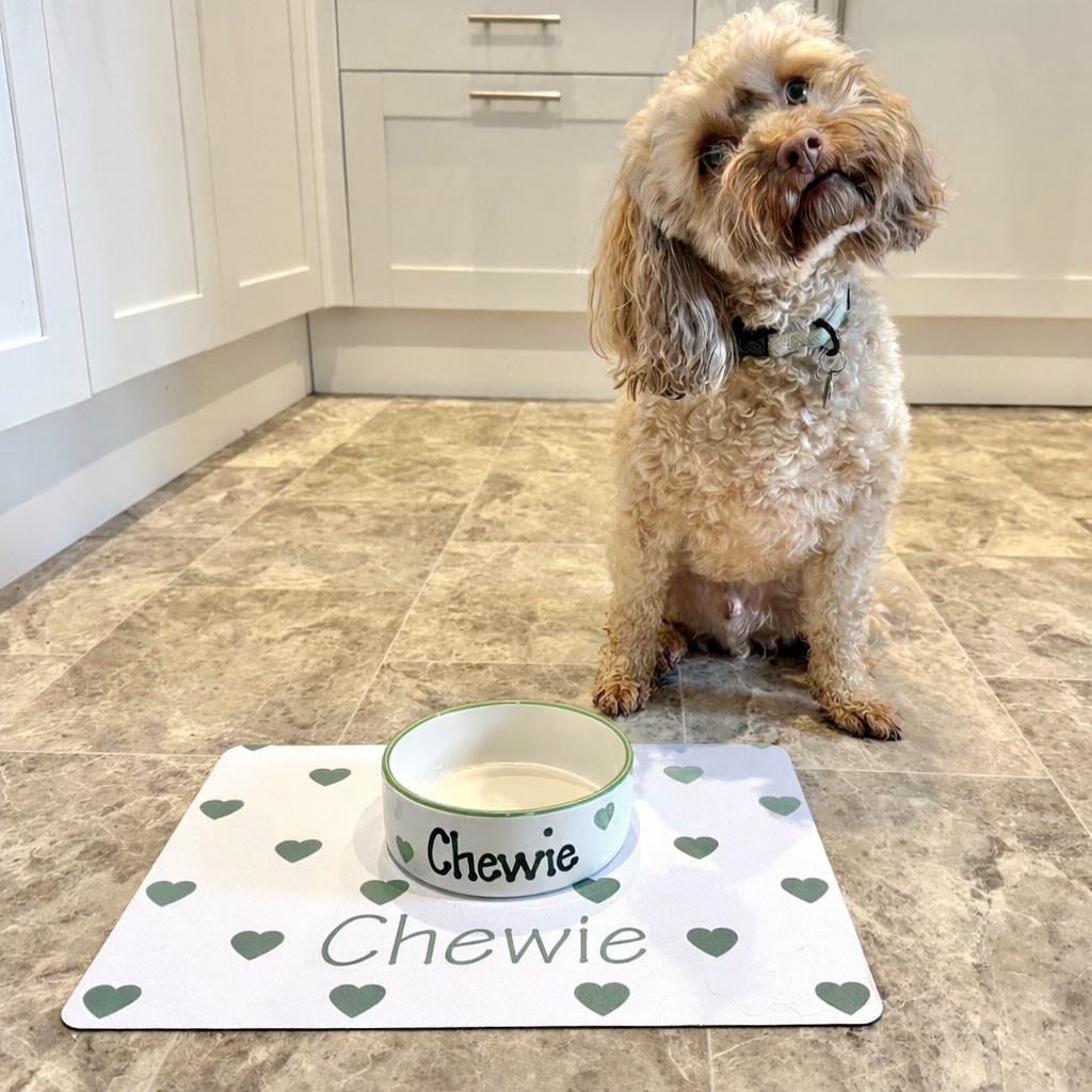 Hand Painted Personalised bowl sets and mat sets