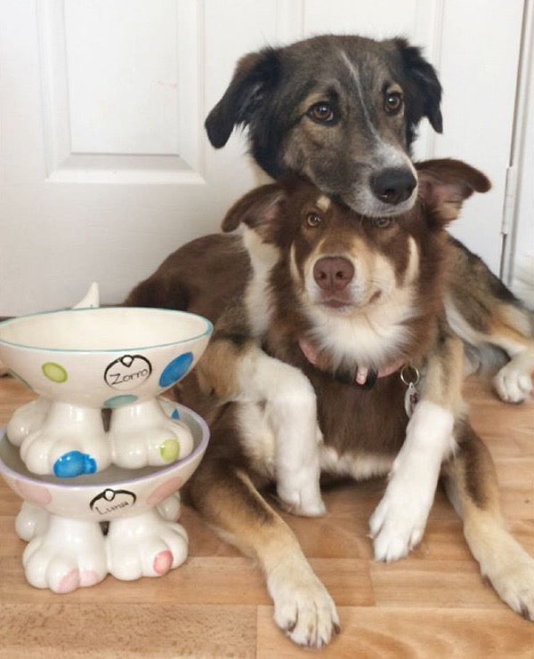Hand Painted Personalised Ceramic Dog and Cat Leg Bowls