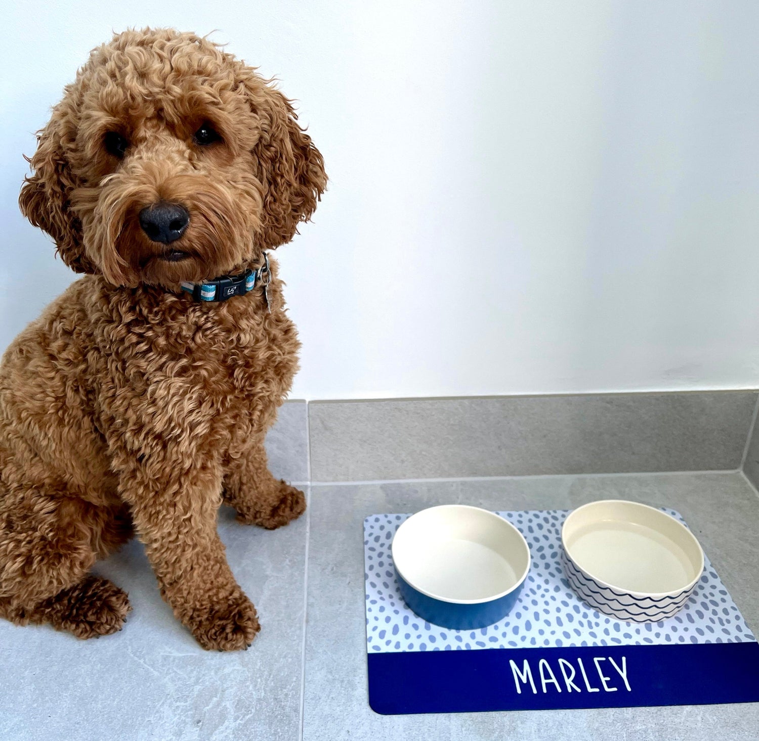 Personalised Pet Bowl Mats
