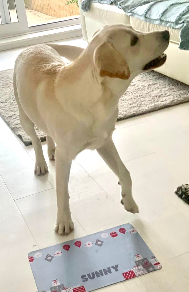 Personalised Pet Bowl Mat Christmas Presents Design