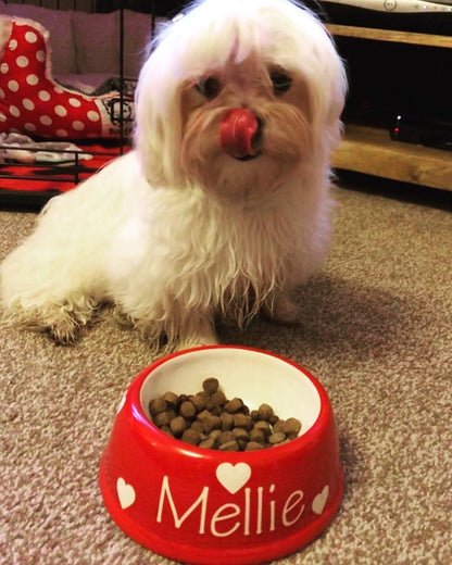 Personalised Slanted Polka Bowl