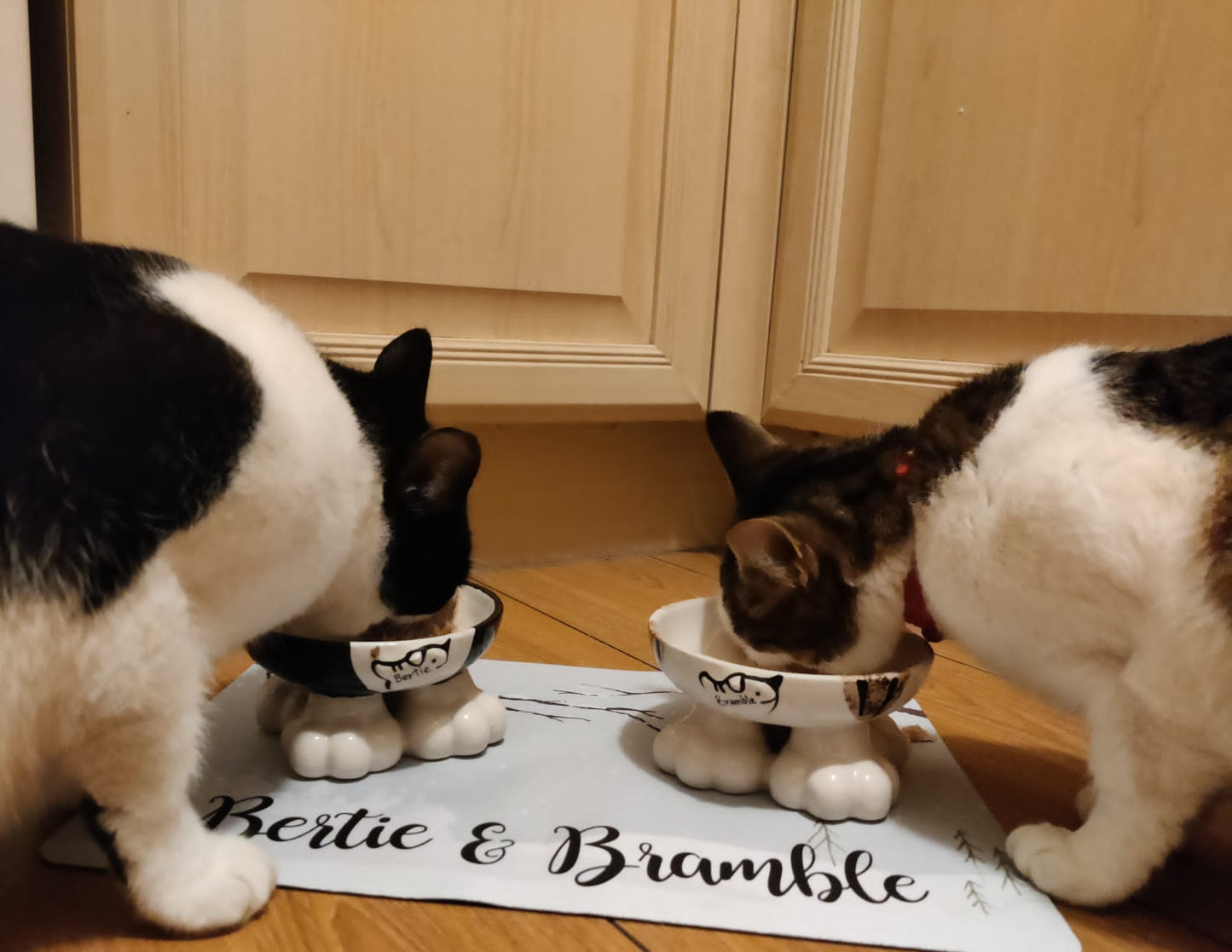 Personalised Pet Bowl Mat Christmas Scene with Robin Design
