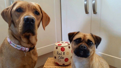 Personalised Treat Jar Spotty Design