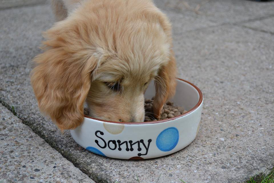 Personalised Straight Sided  Spotty Bowl