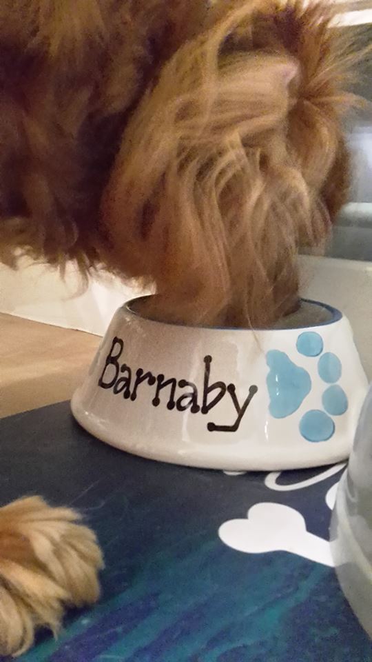 Personalised Slanted Paw Print Bowl