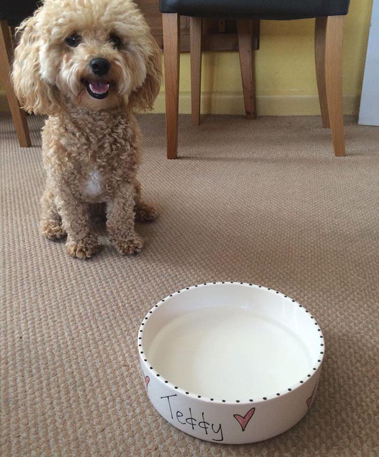 Personalised Straight sided Whimsical bowl