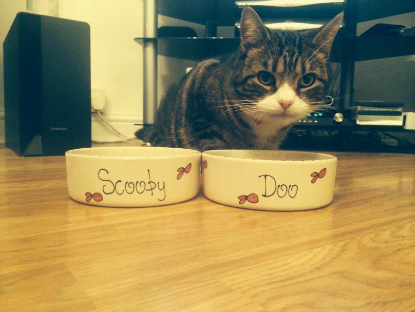 Personalised Straight sided Whimsical 2 bowl set