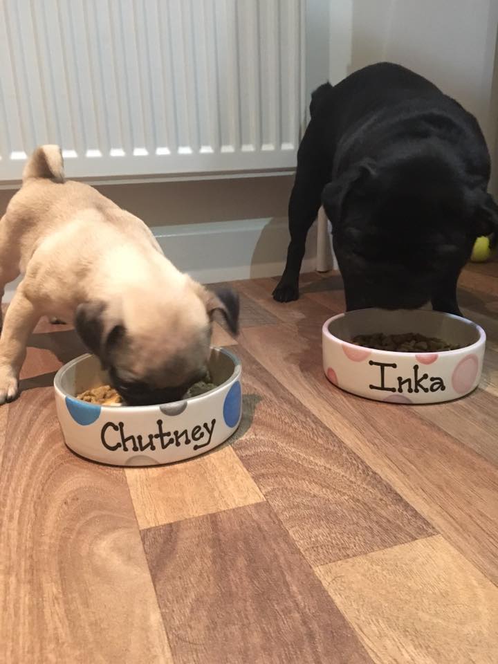 Personalised Straight Sided  Spotty Bowl