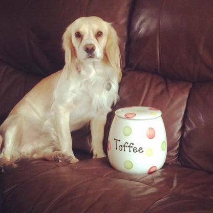 Personalised Treat Jar Spotty Design